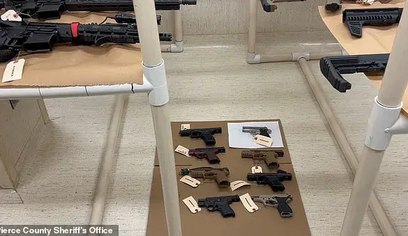 Teen's Mass Shooting Plot Fuels Debate on Gun Regulations and Public Safety